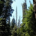 2007 07 03 090